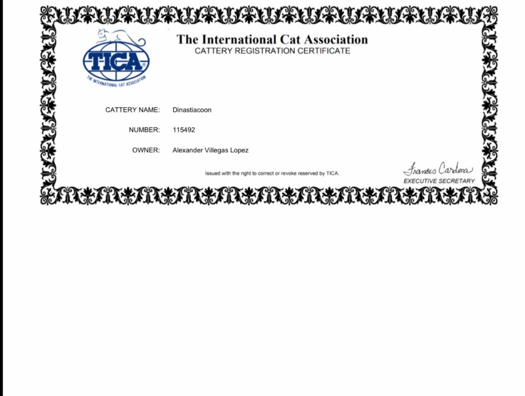 Certificado Oficial TICA Dinastía Maine Coon
