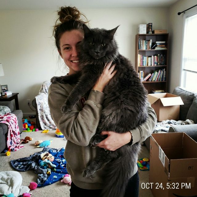 Cliente con Maine Coon Black Smoke