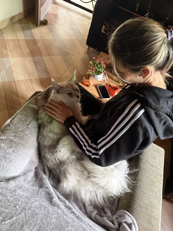 Cliente feliz con su Maine Coon - Sofía