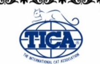 Logo Oficial TICA